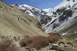 Ladakh Prints: Hemis National Park in winter, Ladakh, India, Asia