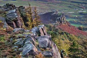 Staffordshire Prints: Hen Cloud from The Roaches rock formation in autumn