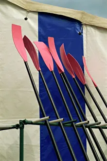Oxfordshire Prints: Henley Royal Regatta, Oxfordshire, England, United Kingdom, Europe