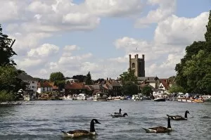 Images Dated 9th September 2008: Henley on Thames, Oxfordshire, England, United Kingdom, Europe