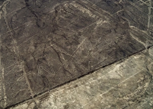 Nazca Prints: The Heron Geoglyph, aerial view, Nazca, UNESCO World Heritage Site, Ica Region, Peru
