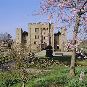 Cherry Blossom Prints: Hever Castle, Kent, England, UK