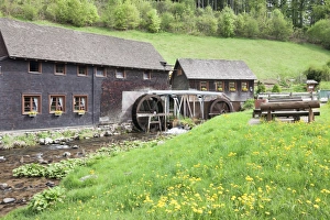 Water Mill Prints: Hexenlochmuehle Mill near Furtwangen in spring, Black Forest, Baden Wurttemberg, Germany