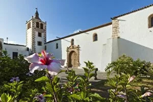 Images Dated 12th August 2010: Hibiscus flowers and the 17th century Santa Maria Cathedral in this historic former capital