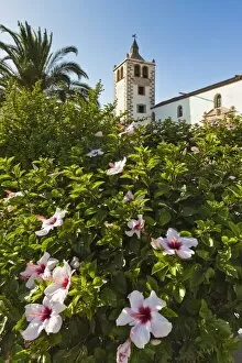 Images Dated 12th August 2010: Hibiscus flowers and the 17th century Santa Maria Cathedral in this historic former capital
