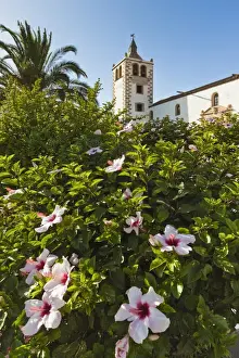 Betancuria Prints: Hibiscus flowers and the 17th century Santa Maria Cathedral in this historic former capital