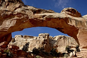 Land Form Prints: Hickman Bridge, Capitol Reef National Park, Utah, United States of America, North America
