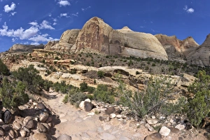 Dirt Track Prints: Hickman Bridge Trail, Navajo Dome