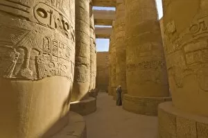 Images Dated 17th December 2008: Hieroglyphics on great columns in the Temple of Karnak near Luxor, Thebes