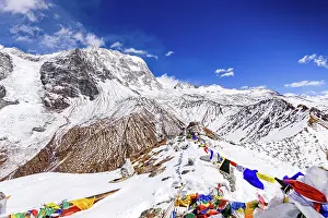 Wanderlust Prints: High-altitude view north from Kyanjin Ri summit with prayer flags and dramatic snow-covered ridges of Ubra and Kimshung