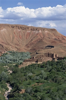 Oases Prints: High angle view of oasis