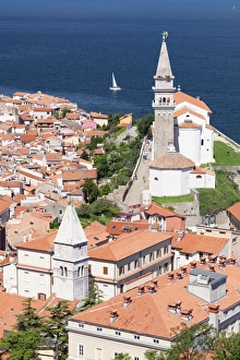 High angle view of the old town with the cathedral of St. George, Piran, Istria, Slovenia, Europe