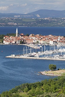 Primorska Prints: High angle view of the old town and the harbour of Izola