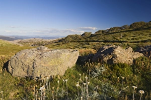 Images Dated 28th December 2007: High Country, Bogong High Plains, Apline National Park, Victoria, Australia, Pacific