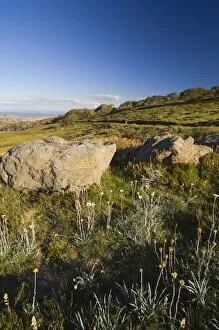Images Dated 28th December 2007: High Country, Bogong High Plains, Apline National Park, Victoria, Australia, Pacific