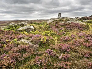 Heather Prints: High Crag near Pateley Bridge in Nidderdale, Yorkshire, England, United Kingdom, Europe