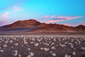 Argentina Prints: High desert landscape of the Puna region, Argentina