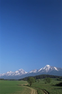 Slovak Republic Prints: High Tatra mountains from near Poprad