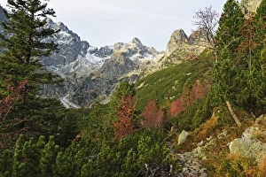 Slovakia Prints: High Tatras (Vysoke Tatry), Slovakia, Europe