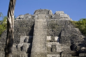 Stair Way Prints: High Temple (Structure N10-43), the highest temple at the Mayan site of Lamanai