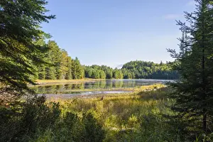 Ontario Prints: Highland Backpacking Trail, Algonquin Provincial Park, Ontario, Canada