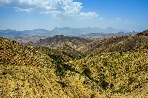Eritrea Prints: The highlands of Eritrea near Keren, Eritrea, Africa