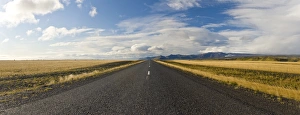 Road Markings Prints: Highway One, South Iceland, Polar Regions