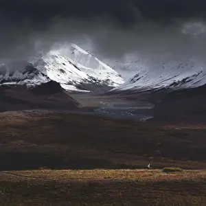 Unrecognisable Person Prints: Hiker illuminated by a beam of sunlight after snowfall in the Denali National Park