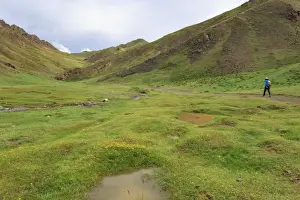 Hiker Prints: Hiker in lush Yolyn Am (Yol or Eagle Valley) with flowers after summer rain, Gurvan