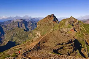 View From Behind Prints: Hiker in red jacket walking down new footpath across the volcanic landscape towards Madeiras third highest peak