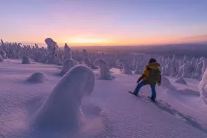 35 39 Years Gallery: Hiker in the snowy forest at dusk, Riisitunturi National Park, Posio, Lapland, Finland