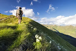 Wild Flower Prints: Hiker on steep ridge on the ascent towards Monte Azzarini, San Marco Pass, Albaredo Valley