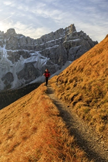 Weekend Activities Prints: Hiker on a trail around the Forcella De Furcia at sunrise, Val di Funes, South Tyrol