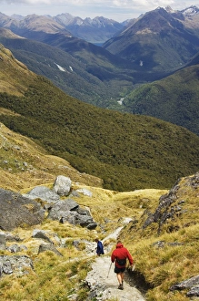 Descending Prints: A hiker on a trail leading to Conical Hill on the Routeburn Track