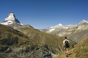 Alps Prints: Hiker walking on trail near the Matterhorn