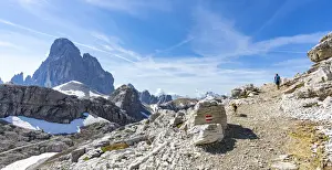 40 45 Years Prints: Hiker woman with dog walking on path to the majestic mountain Croda dei Toni in summer