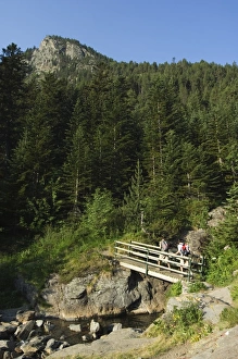 Images Dated 6th January 2000: Hikers on bridge in hiking area of Pic de Coma Pedrosa, Parish of La Massana