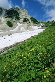 Grow Prints: Hikers en route to Mt