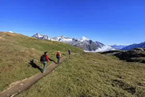 Backpack Prints: Hikers on a mountain path proceed towards the high peaks in a clear summer day, Gornergrat