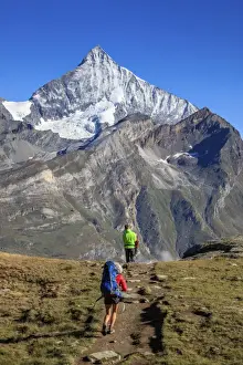 Backpack Prints: Hikers proceed towards the high peak of Dent Herens in a clear summer day, Gornergrat