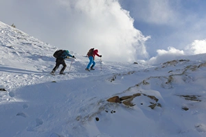 Hikers proceed in the snowy valley of Alpe Fora, Malenco Valley, Province of Sondrio