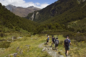 Walker Prints: Hikers on Rob Roy Glacier Hiking Track