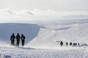 Hiker Prints: Hikers on snow covered Pen y Fan mountain, Brecon Beacons National Park