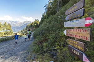 Holding Hands Prints: Hikers walk on the alpine path surrounded by woods, Ponte Di Legno, Camonica Valley
