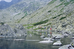 Walker Prints: Hikers walking along Batizovske pleso