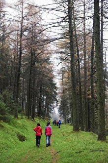 Images Dated 31st October 2009: Hikers walking in Brecon Beacons National Park, South Wales, Uninted Kingdom, Europe