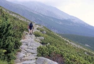 Walker Prints: Hikers walking along Tatranska magistrala trail in