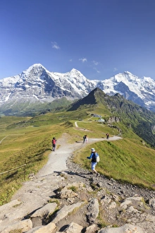 Grindelwald Prints: Hikers on the way to Mount Eiger