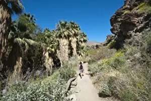 Images Dated 28th March 2010: Hiking in Andreas Canyon, Indian Canyons, Palm Springs, California, United States of America