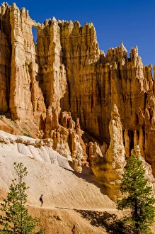 Jagged Prints: Hiking in Bryce Canyon National Park Utah, United States of America, North America